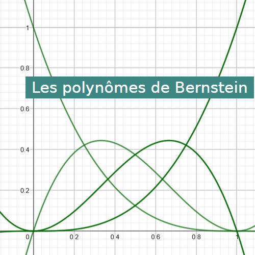 Les polynômes de Bernstein